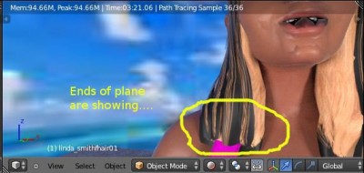 poly-hair.jpg