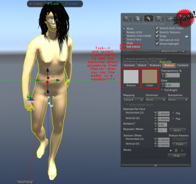 Tut_Upload_Model_SL_5.png