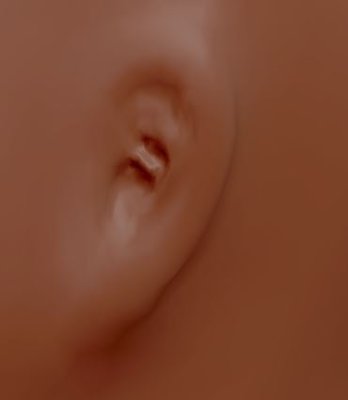 0001Last effortBig Ears.JPG