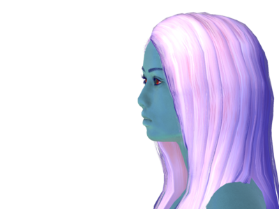 side1.png