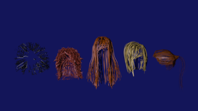 a6-hairs.png