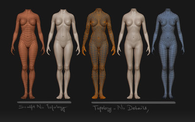 topology.jpg