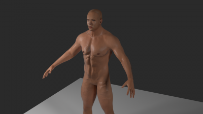 fatmuscular.png