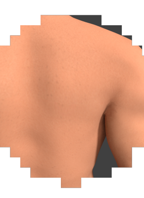 shoulder.png