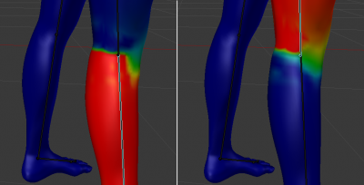 KneeAreaWeights.png