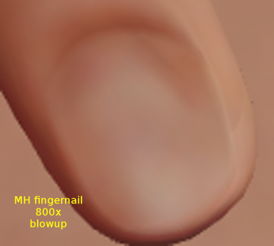 MH_fingernail 800x.png