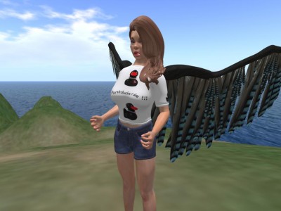 opensim_face.jpg