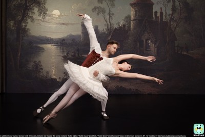 Mindfront_-_Ballet_Swan_Lake_amateur_performance_04.jpg