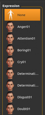 expressions_menu.png