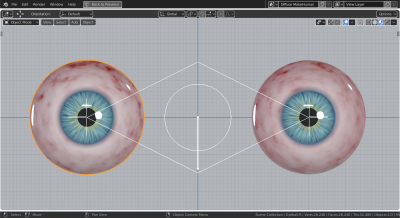 Proc._eye.png