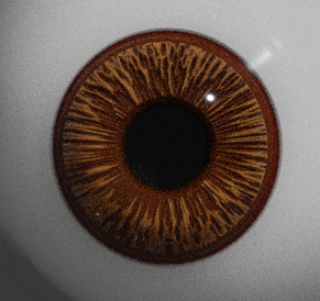 proc_eye_brown.png