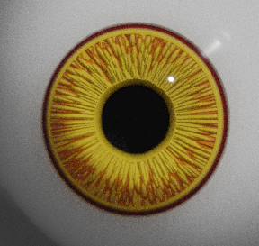 proc_eye_yellow.png