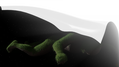 Space meadow.png