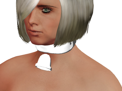 bell_collar_orig.png