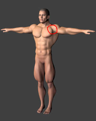 Arnold_body_wip7.png