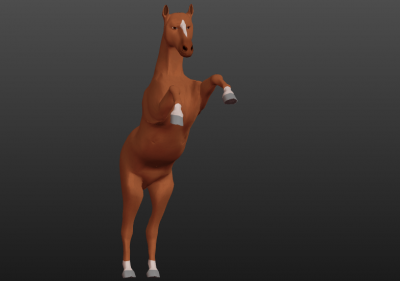 Horse skin.png