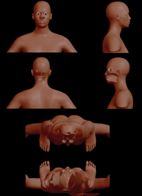 MH130 Rendering Bug.png