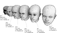 Heads 0.png